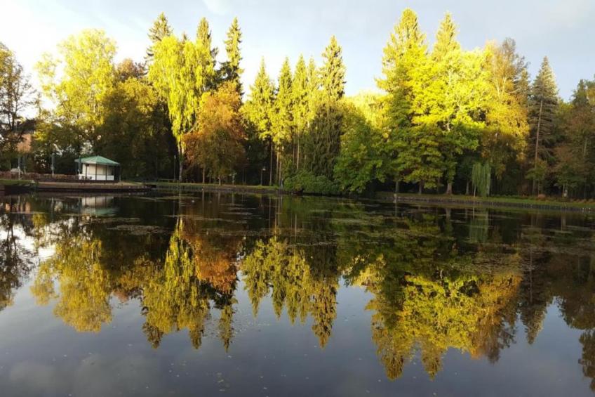 Bad Elster - foto 27