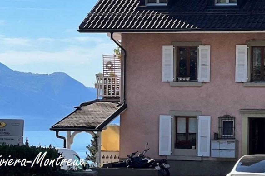 Les Narcisses,Blonay - foto 19