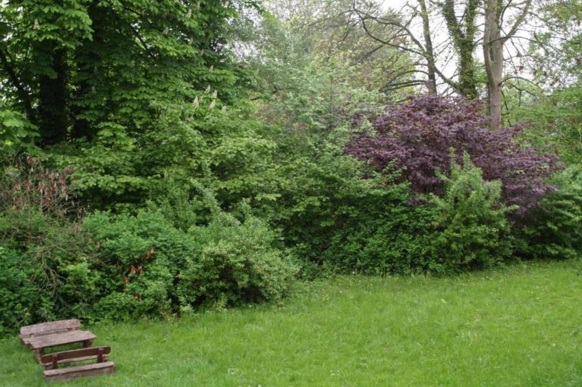 Im Weserbergland - foto 34