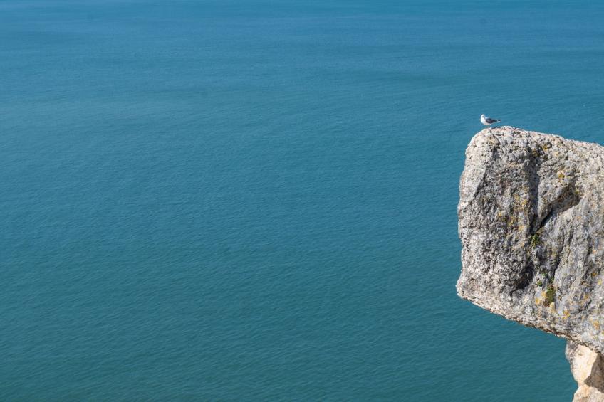 mit Blick auf das Wasser - foto 34