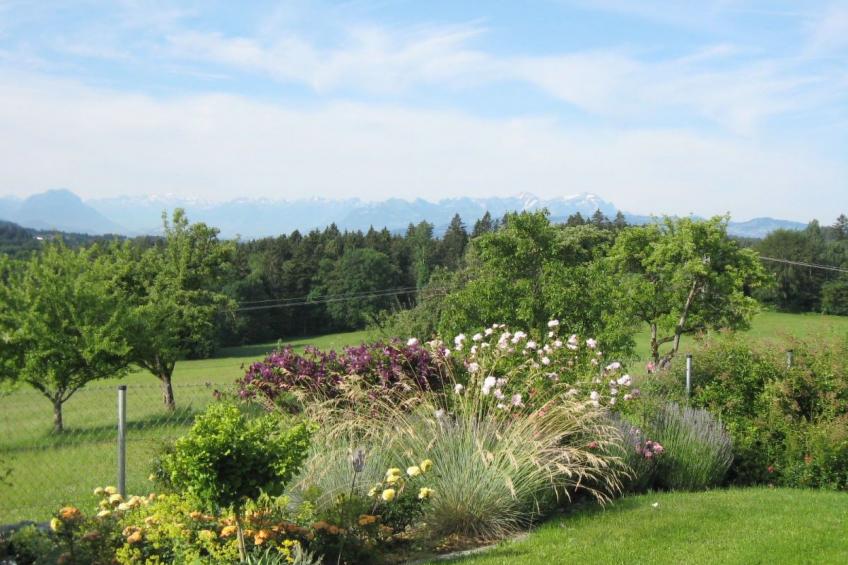 "Säntisblick" - foto 3