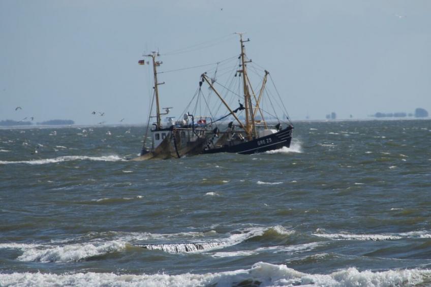 629624 - foto 21