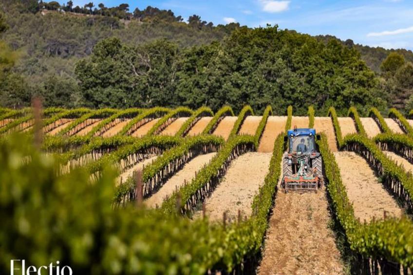 Grande Bastide | Domaine Tour Campanets - foto 61