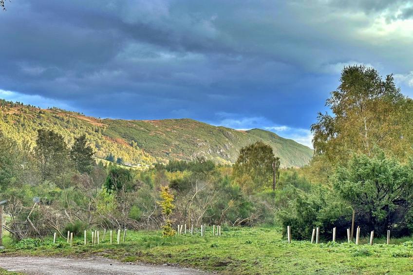 Cosagach Falls Cabin - foto 24