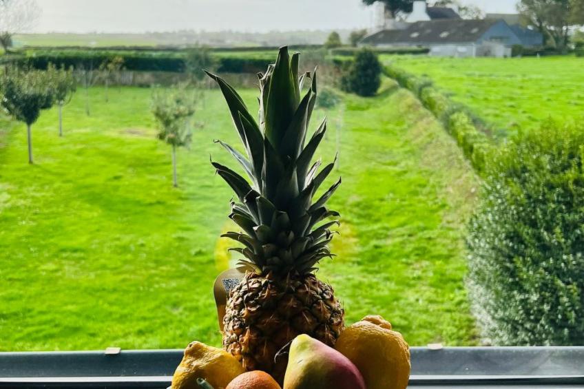 Villa Tante Alice  Meerblick Komfort Villa Alleinlage mit Aufzug Jacuzzi Dampfb - foto 17