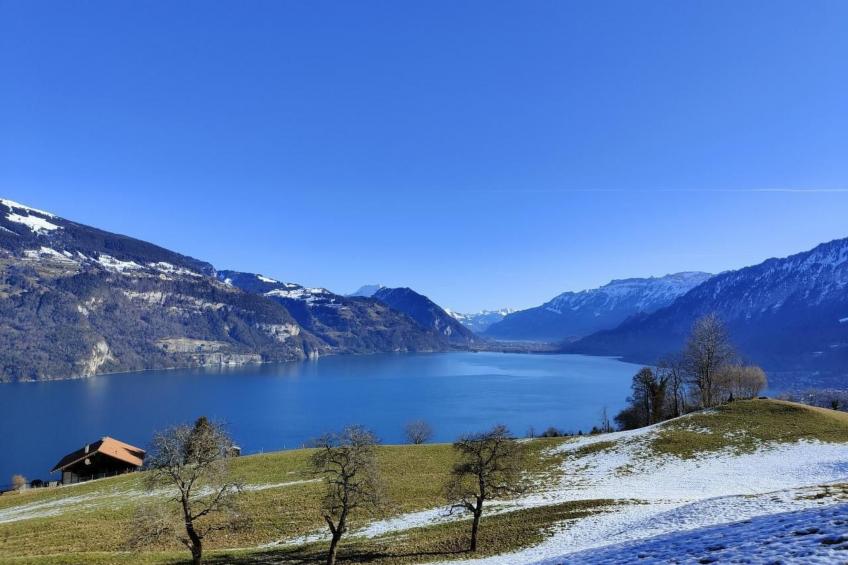 Traumblick Krattigen - foto 39