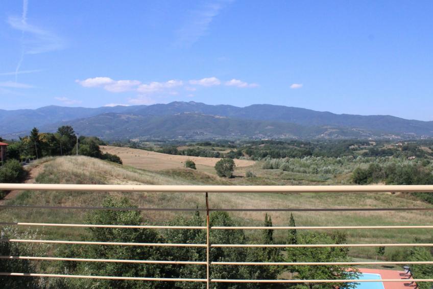 Flache Linde - foto 12