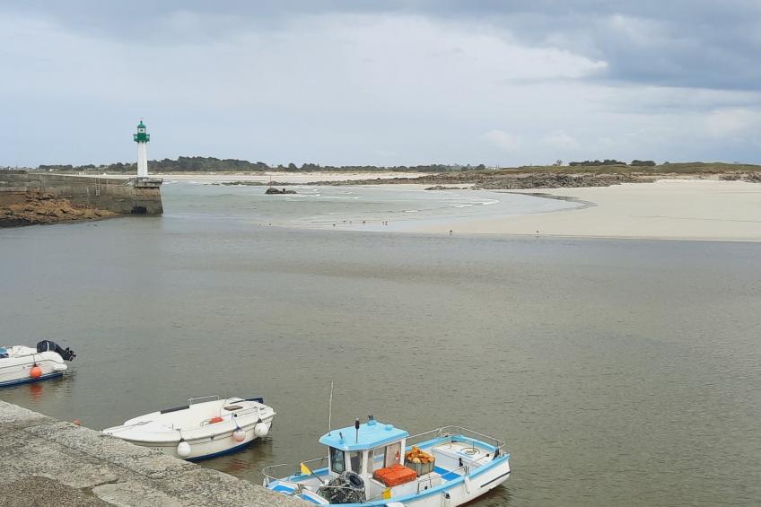 Die Ruhe des Landes am Meer in einer Region mit Gemüseanbau - foto 52