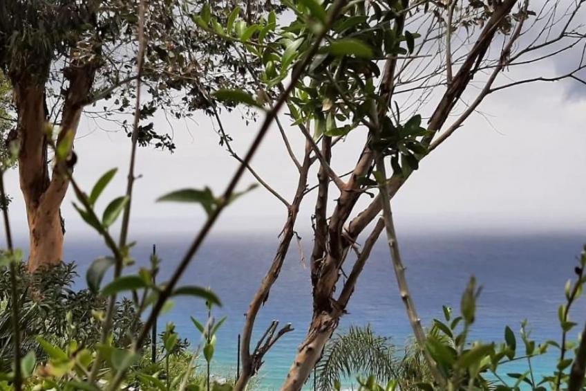 Villa Panorama Wohnung in privater Villa - foto 10