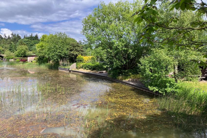Knus chalet In een rustige omgeving met vijver - foto 7