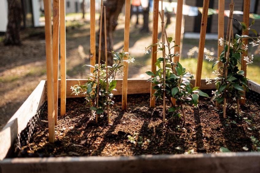 Park Haarle - foto 35