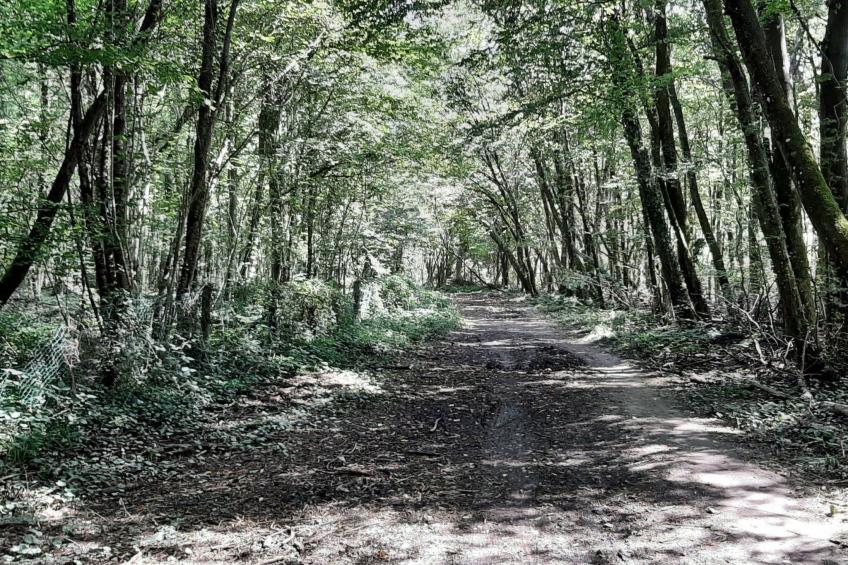 Fachwerkhaus "Charme - foto 20