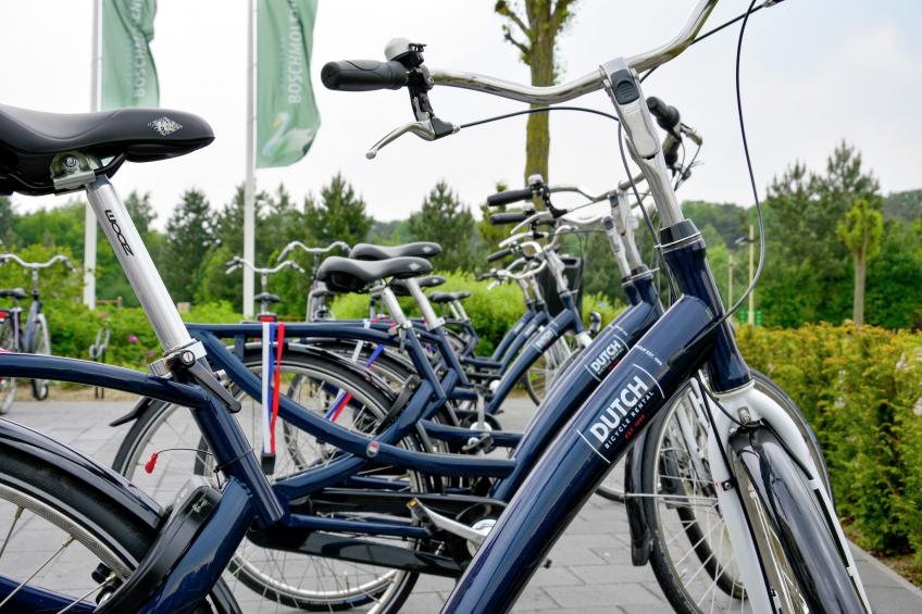 Maaspark Boschmolenplas - foto 15