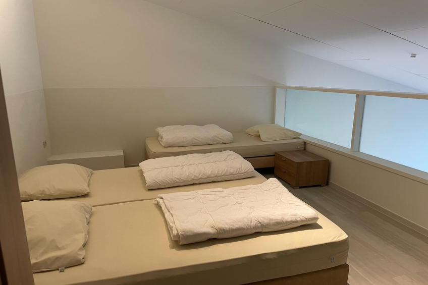Het Platte Putje - Huisdier - nr 2 - foto 34