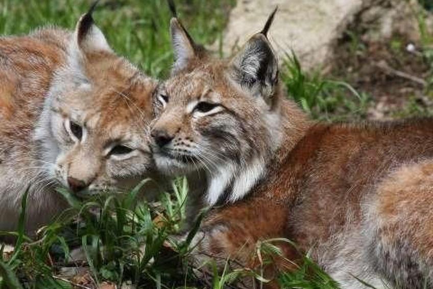 Fewo Stricker 22 - foto 35