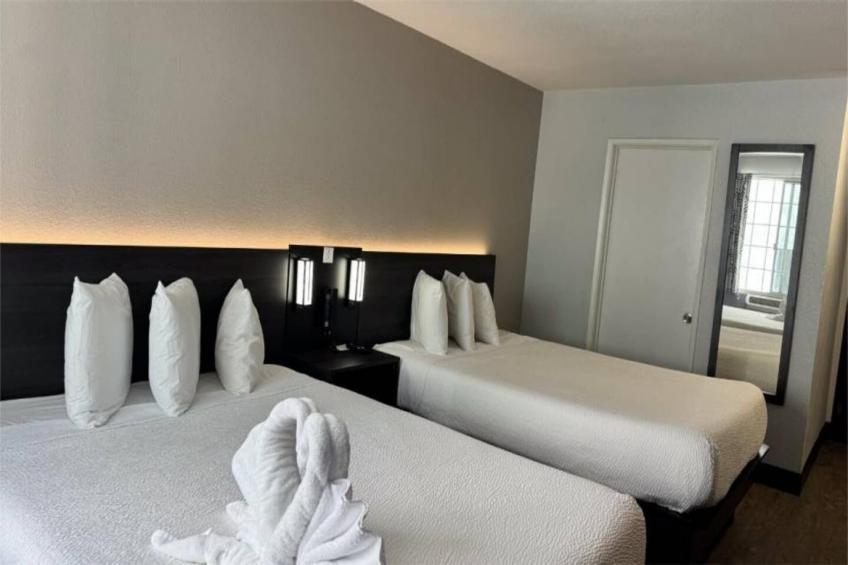 2 Queen Beds  Non-Smoking - foto 12