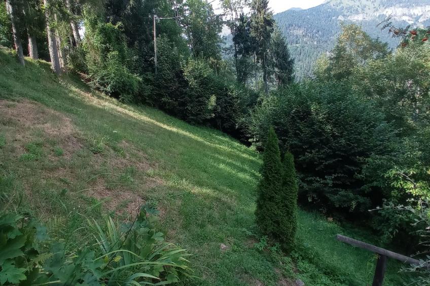 Annas Haus im Dolomiten-Nationalpark - foto 11