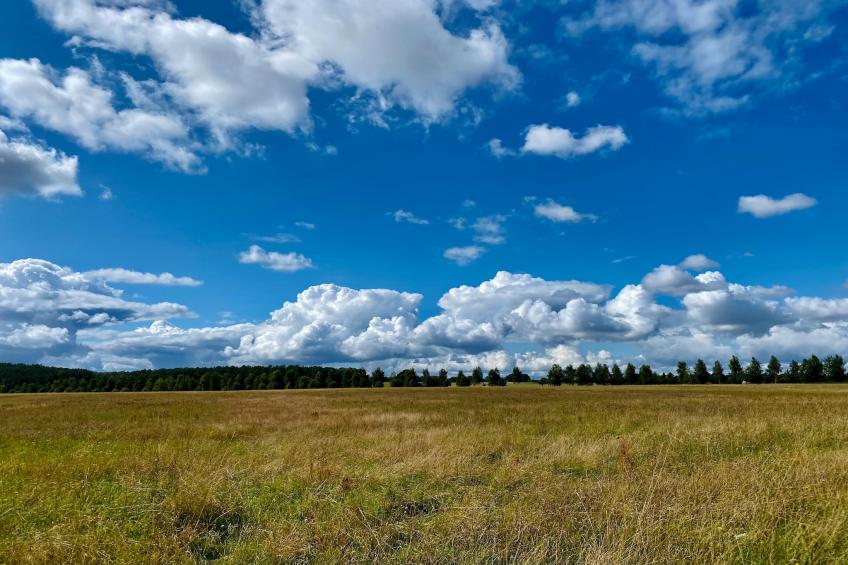 Single Room - foto 33