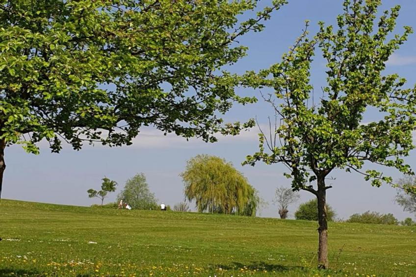 Meisdorf I - foto 28