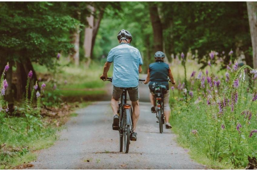 Veluwelodge XL with hot tub | 6 persons - foto 23