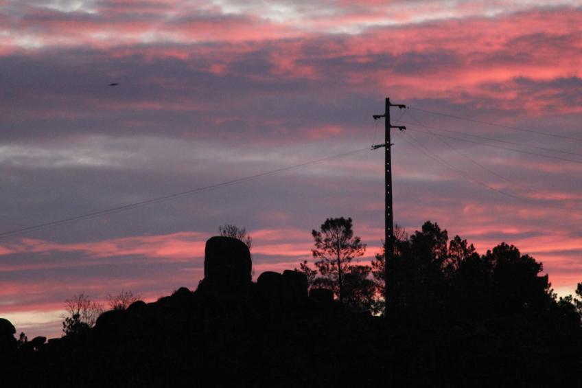 Ferien auf dem Bauernhof mit Weinberg - foto 39