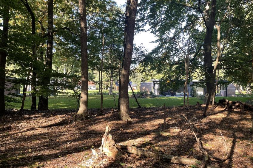 De Douglas - foto 18