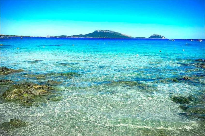 Cugnana Verde Bilo 4 BIS - foto 35