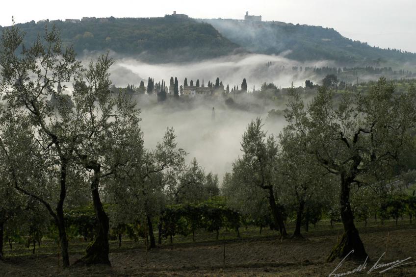 "Villa V Volterra" - foto 41