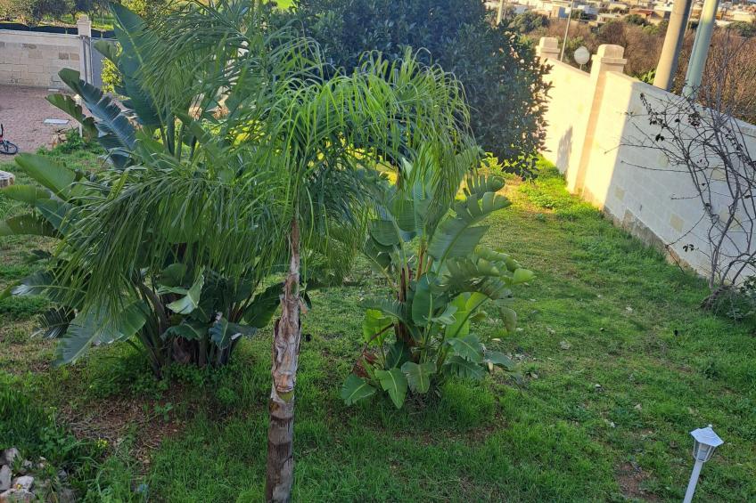 'Casetta 45 - foto 6