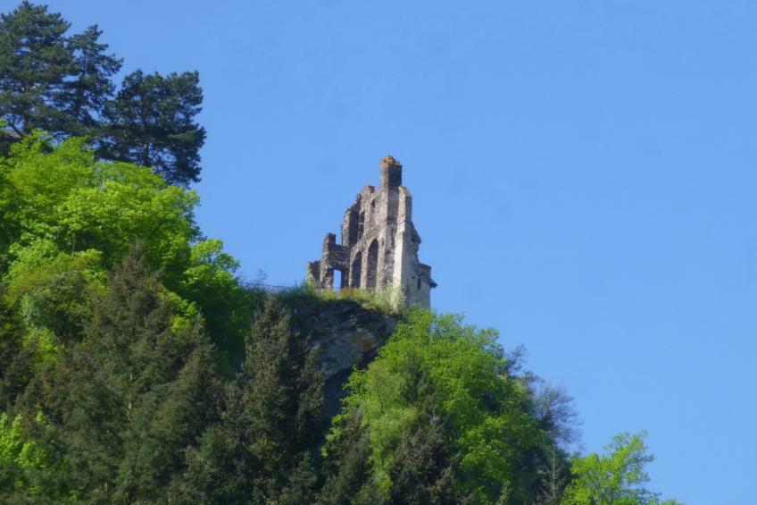 Moselschiefer-Traumferienwohnung am Moselufer - foto 37