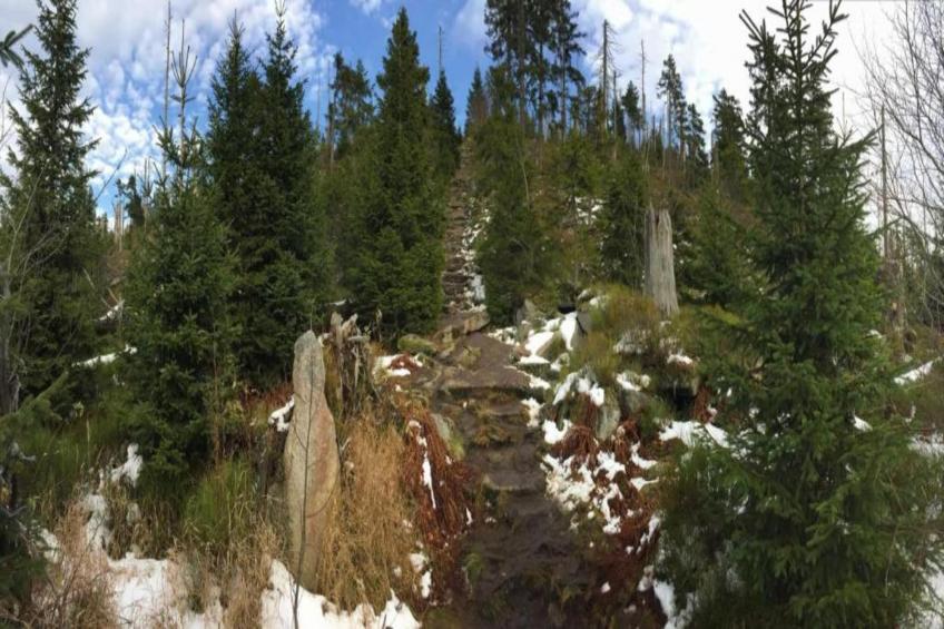 Talblick - foto 20