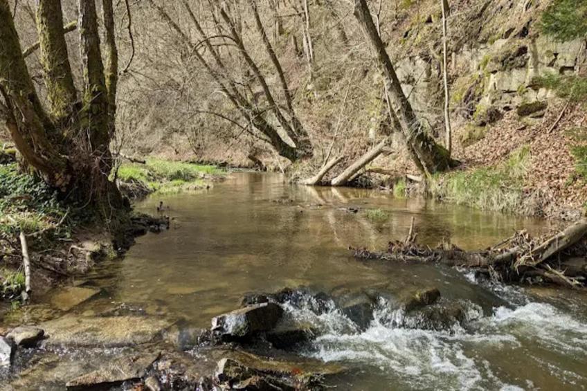 Am Ferienhof - foto 17