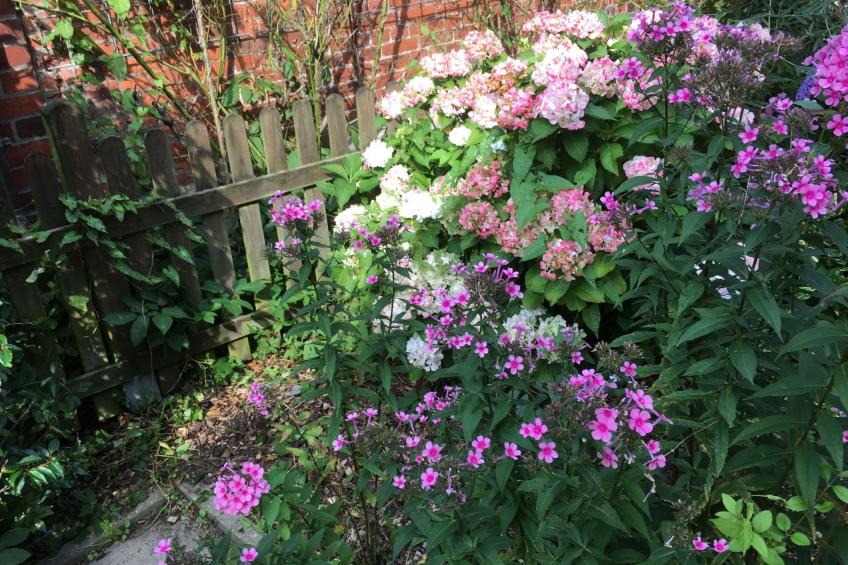 Oste-Anker - foto 36