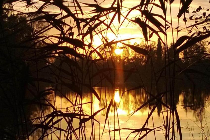 Les Sittelles - foto 32