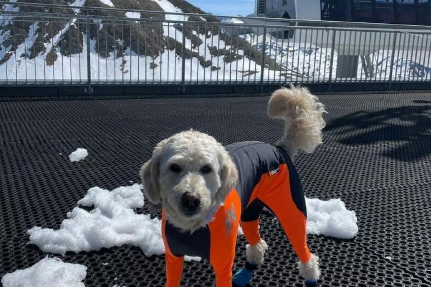 Chalet "Doodle's Chalet" mit Sauna - foto 33