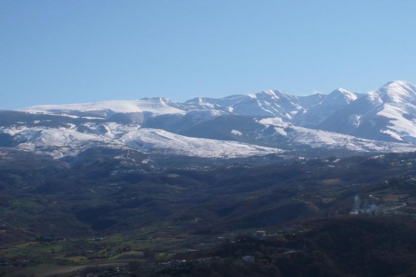 'Elvira Basilico' mit Terrasse - foto 21