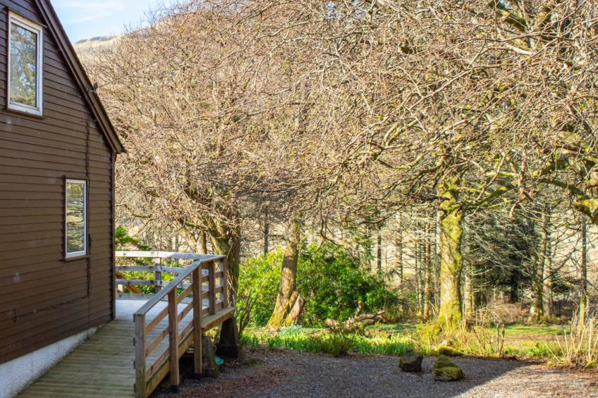 Blue Lobster - foto 45