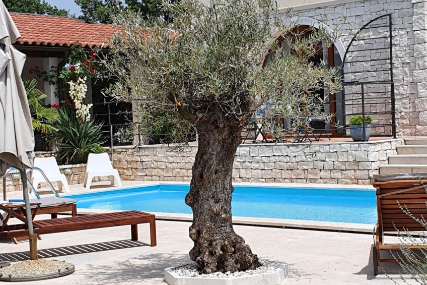 Charmante Villa Histra mit Pool und großem Garten - foto 4