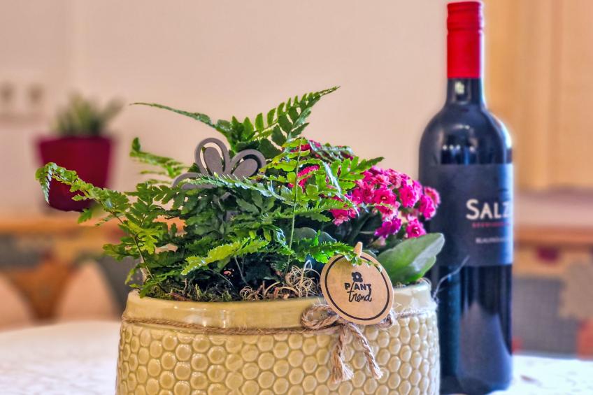 Lueg ins Land - foto 8