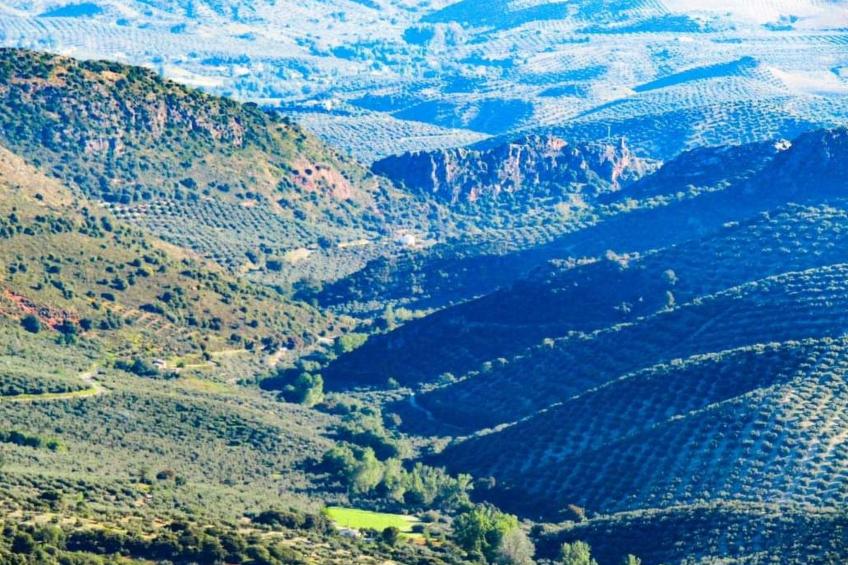 Cerro de la Cruz,charmantes Bauernhaus mit bester Aussicht,im Zentrum Andalusie - foto 71