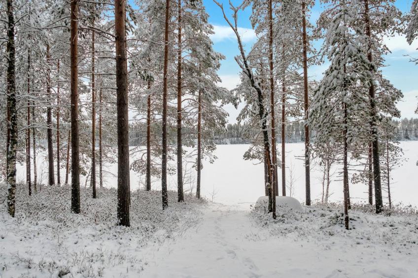 Välikosken puolukka - foto 16