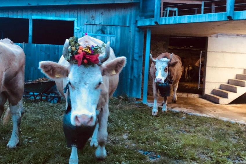 Hofuri, 1300m - foto 17