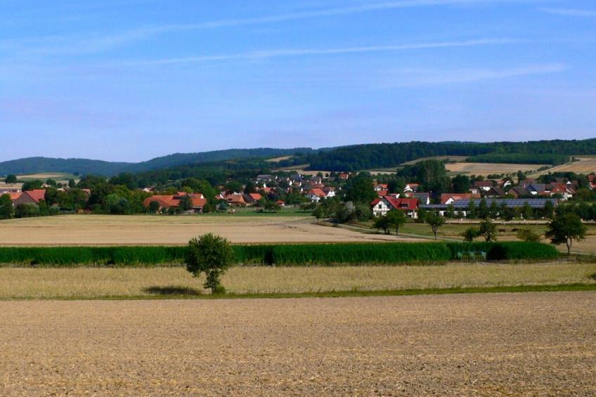 91291 - foto 26