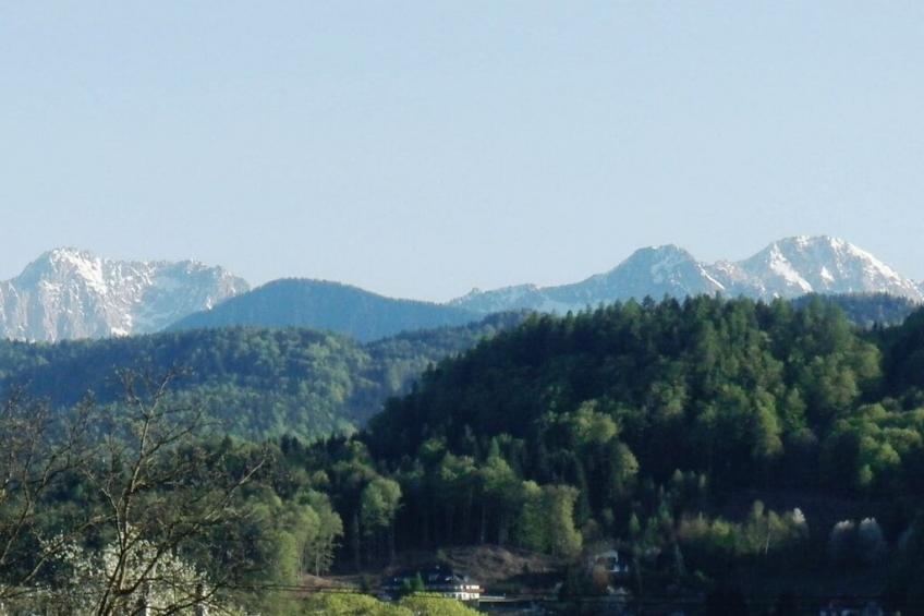 50202 - foto 17