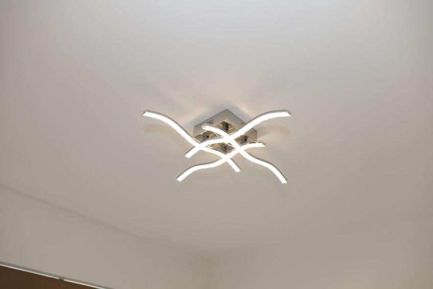 Wien Orpington - foto 34