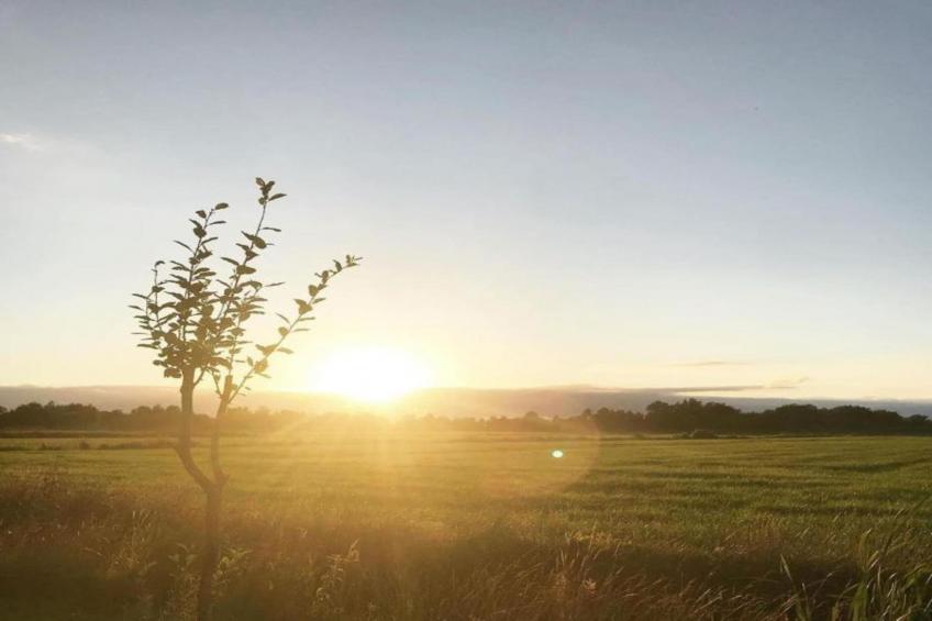 Chalet Doutzen - foto 29