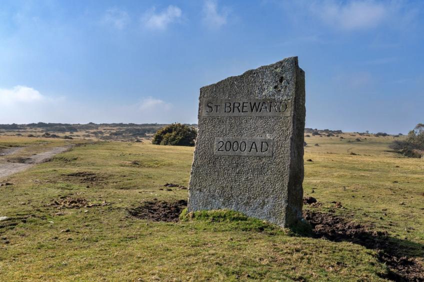 Jubilee Cottage at Bodmin Moor - foto 26