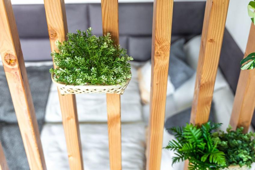 Golden Nugget - foto 22