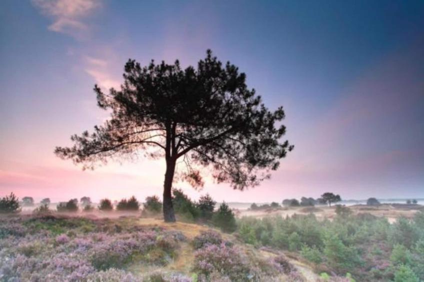 Bospark Lunsbergen - foto 24