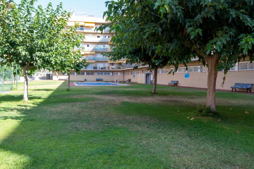 Colom - foto 31